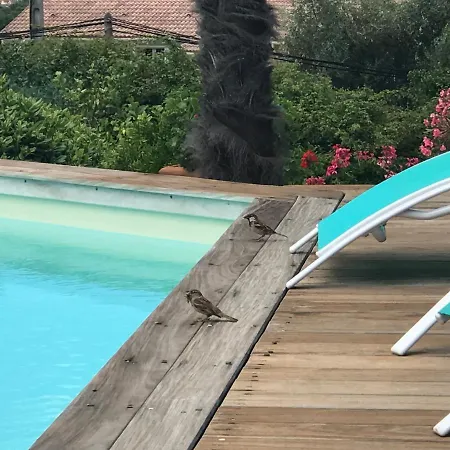 Hotes Carpe Diem Отель типа 