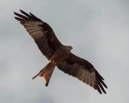 Hotes Carpe Diem Санта-Мария-Погжио