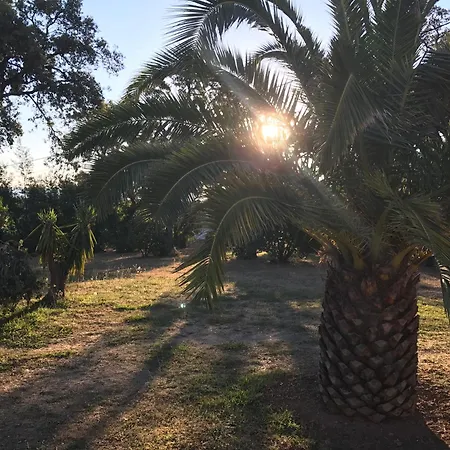 Hotes Carpe Diem Санта-Мария-Погжио