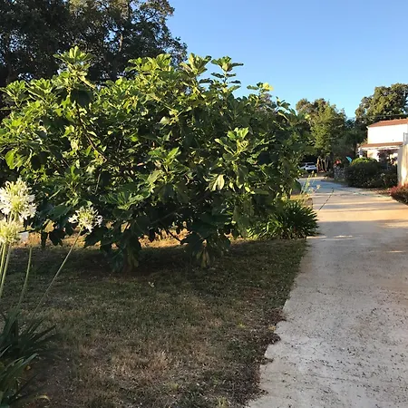 Hotes Carpe Diem Отель типа 