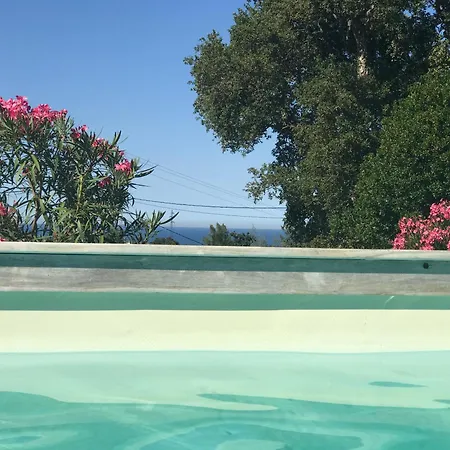 Hotes Carpe Diem Santa-Maria-Poggio (Corsica)