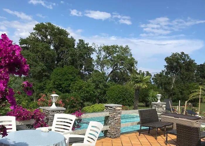 Couette-café Hotes Carpe Diem *