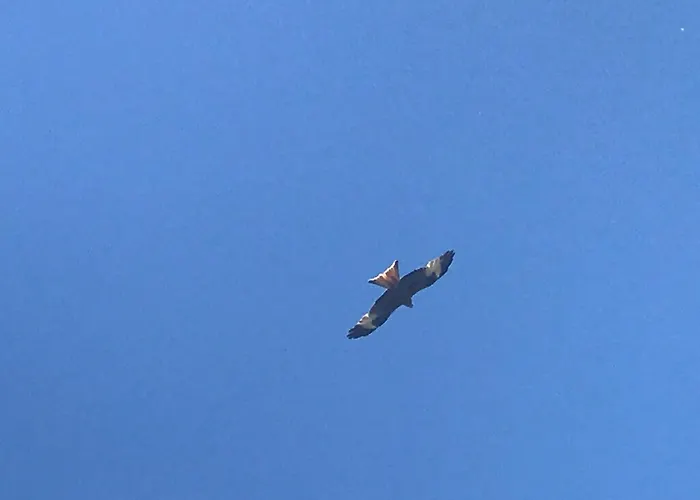 Couette-café Hotes Carpe Diem