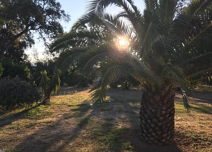 Hotes Carpe Diem Santa-Maria-Poggio (Corsica)