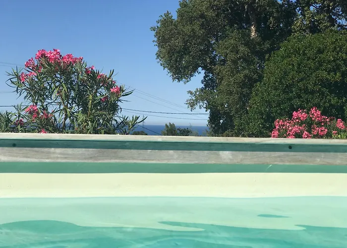 Hotes Carpe Diem Santa-Maria-Poggio (Corsica)