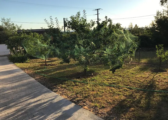 Couette-café Hotes Carpe Diem