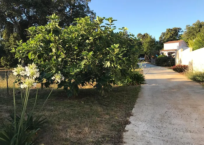 Hotes Carpe Diem Couette-café